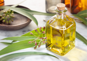 Lemon eucalyptus essential oil is commonly used in mosquito repellent products